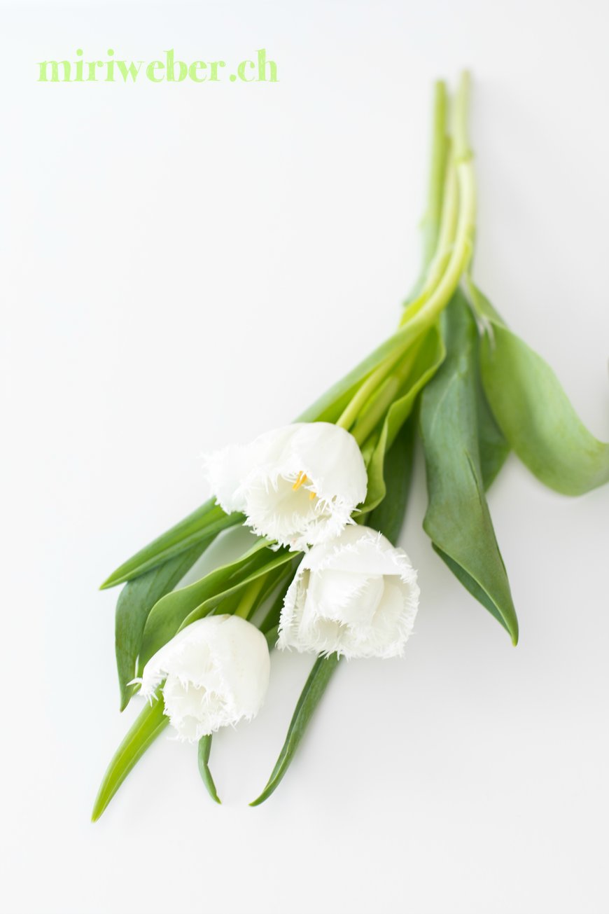 diy blumen kranz, frühling, frühlingskranz, selber machen, diy, blumen, springtime, oster, easter, wreath, floristik, kranz, diy, blog, kreativ, diy bloggerin schweiz, diy blog schweiz