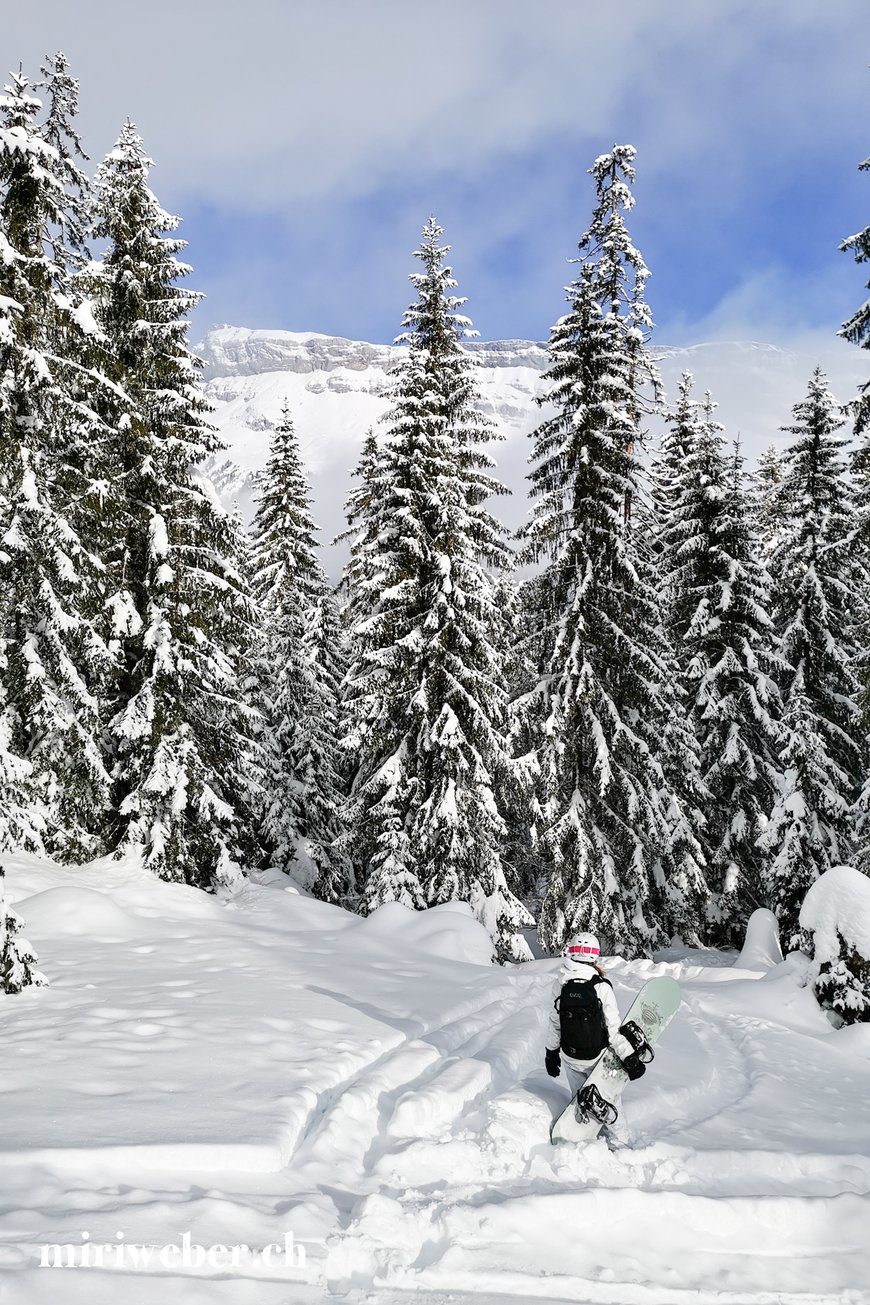 Skigebiet, Flims, Flimser Talabfahrt, Travel Blog Schweiz