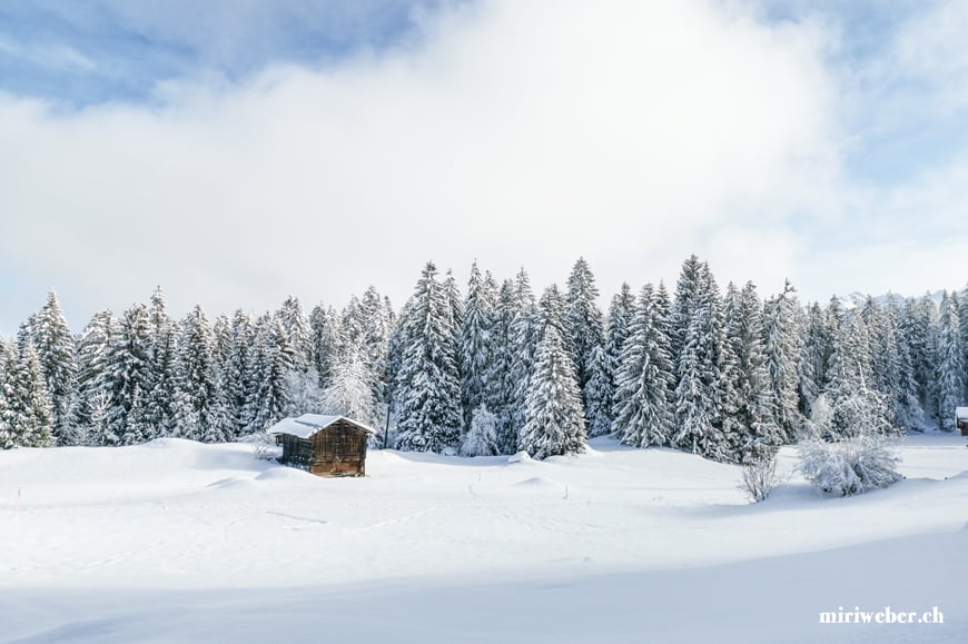 Laax Bergbahnen, Skitickets, Flims, Laax, Falera, Skigebiet, Winterferien, Familien Ferien, Seilbahn, Travel Blog Schweiz, Schweizer Travel Bloggerin, bestes Skigebiet in der Schweiz, Graubünden, Snowboarden, Schweiz, Winter