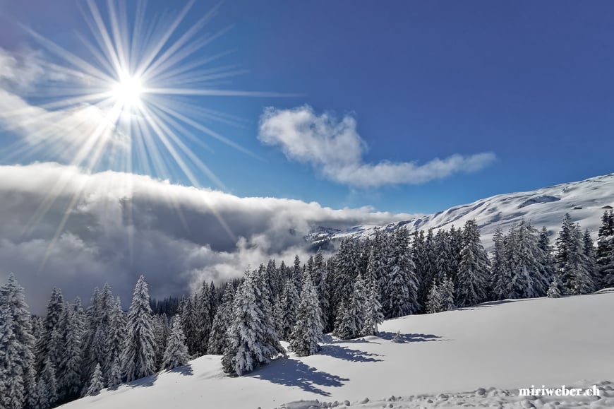 Laax Bergbahnen, Skitickets, Flims, Laax, Falera, Skigebiet, Winterferien, Familien Ferien, Seilbahn, Travel Blog Schweiz, Schweizer Travel Bloggerin, bestes Skigebiet in der Schweiz, Graubünden, Snowboarden, Schweiz, Winter