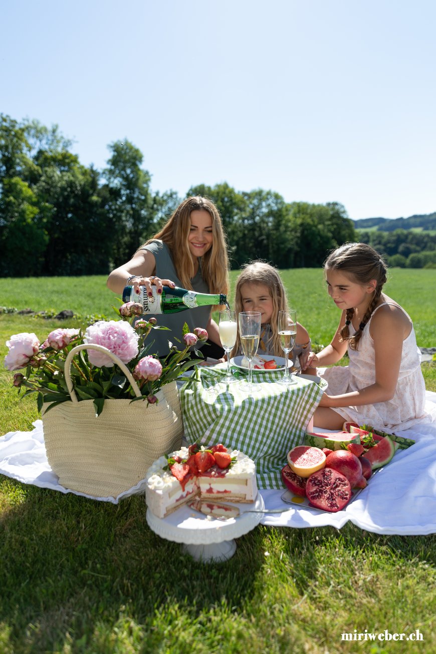 Rimuss, Apero, alkoholfreier Apero, Foodfotografie, Picknick, Rimuss Bio, Rimuss Apero Champion, Foodblog Schweiz