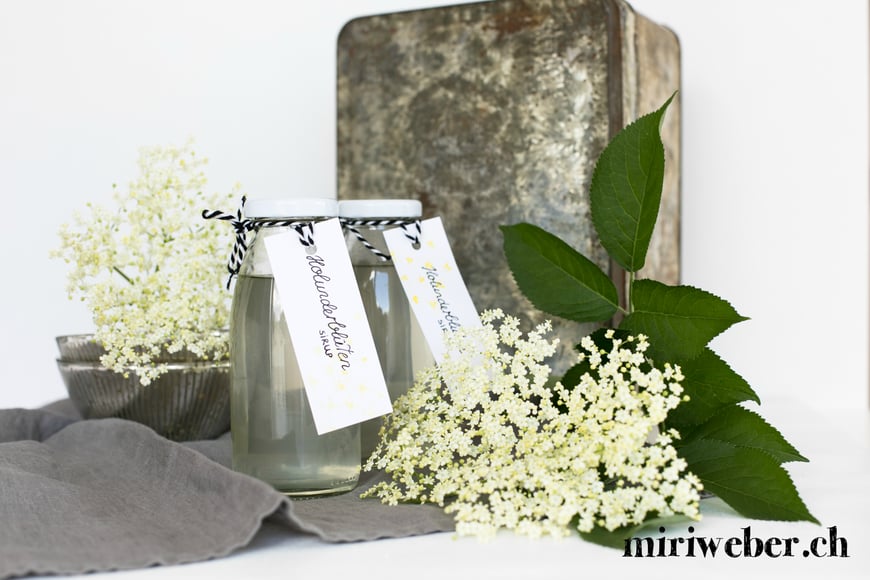 Holunder Blüten, Sirup, Holunderblüten, Eis, Rezept, Ice Cream, Holunder, Sommer, Glace selber machen, Recipe, Food Blog Schweiz, Eis, mit Eismaschine