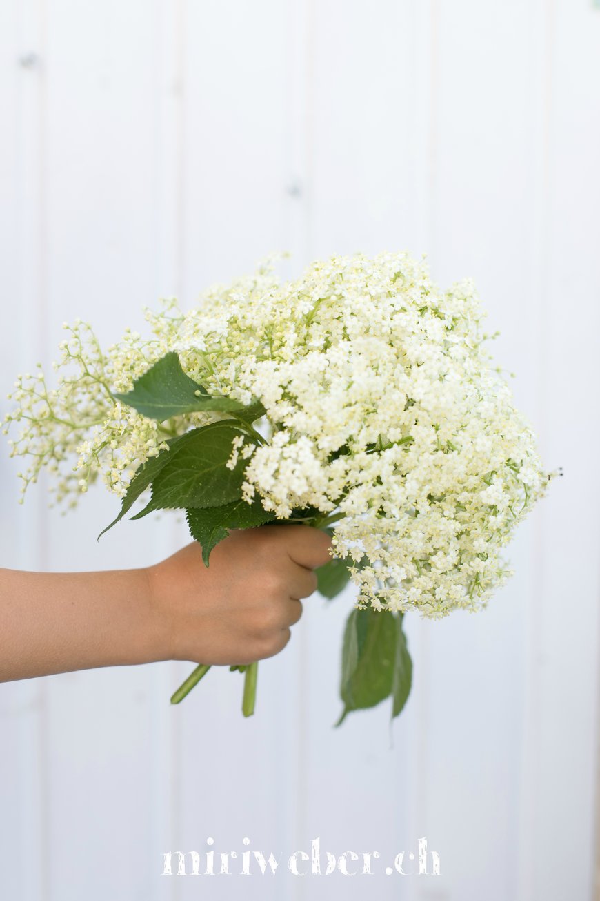 Holunderblüten, Sirup, Eis, Rezept, Ice Cream, Holunder, Sommer, Glace selber machen, Recipe, Food Blog Schweiz, Eis, mit Eismaschine