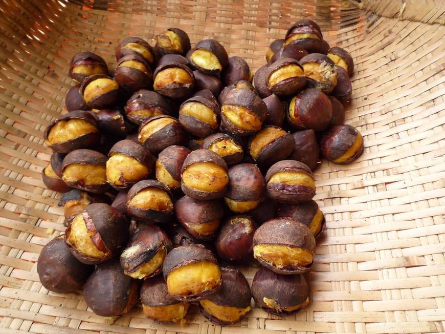 松尾栗園 焼き栗 通信販売