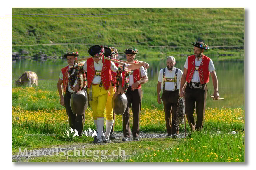 Alpfahrt, Brauchtum, Tradition, Alp Soll, Brülisau, Säntis, Ziegen, Kühe, Hornkühe, Appenzellerland, Appenzell, Schweiz, Alpstein, Seealp, Seealpsee, Spiegelung