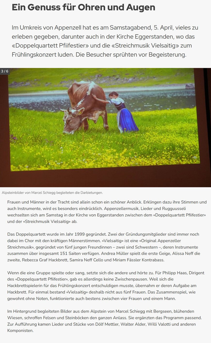 Marcel Schiegg, Fotografie, Alpsteinbilder, Doppelquartett Pfiifestier, Streichmusik Vielsaitig