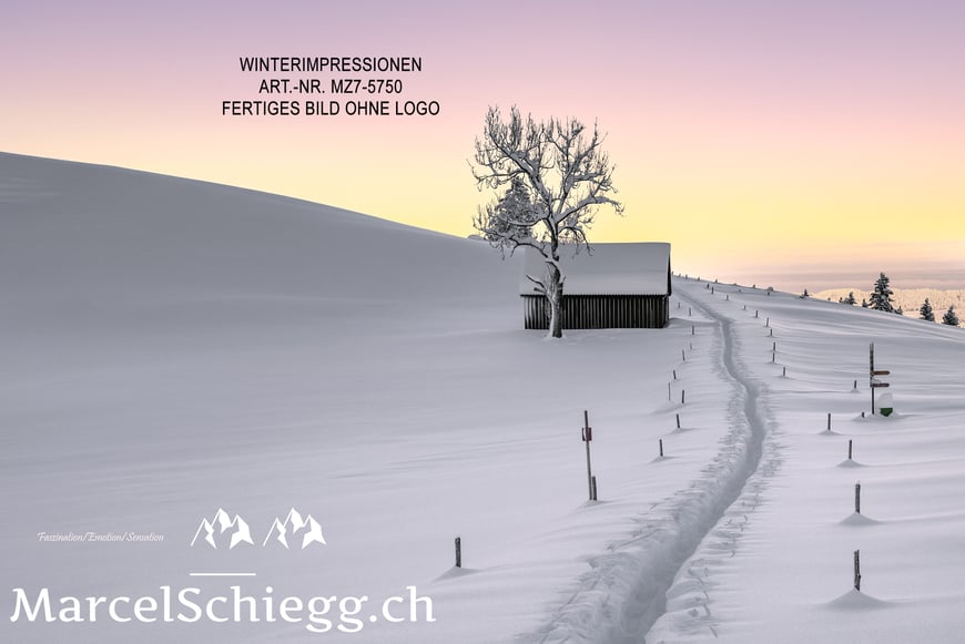 Marcel Schiegg, Fotografie, Marcel Schiegg Fotografie, Wandbilder, Winterlandschaft, Winterzauber, Winterimpressionen, Alpstein, Appenzell, Appenzellerland, Schweiz