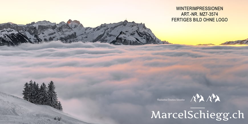 Marcel Schiegg, Fotografie, Marcel Schiegg Fotografie, Wandbilder, Winterlandschaft, Winterzauber, , Säntis, Winterimpressionen, Alpstein, Appenzell, Appenzellerland, Schweiz