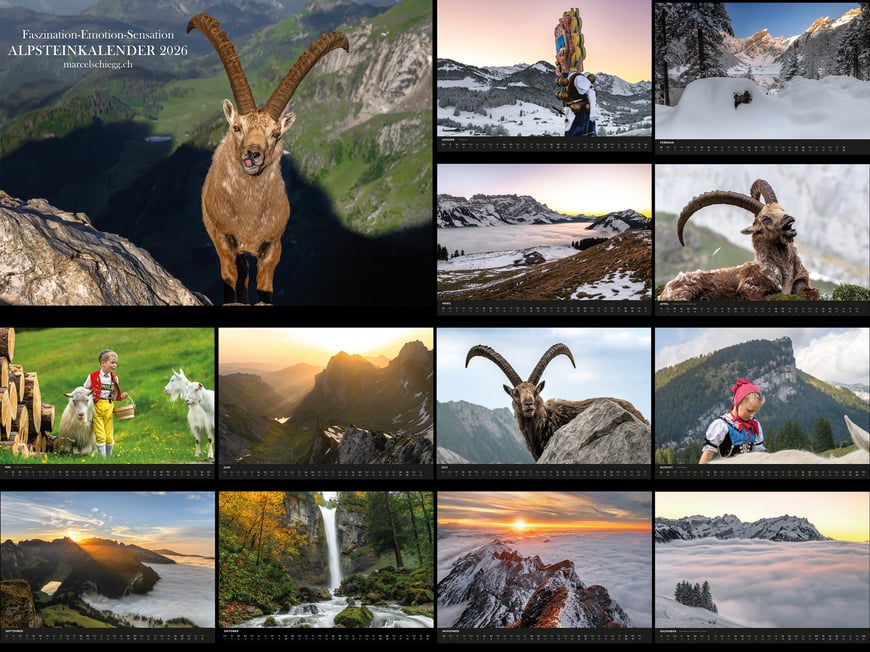 Marcel Schiegg, Kalender, Alpstein, Steinbock, Seealpsee, Rotsteinpass, Appenzellerland, Bollenwees, Fählensee, Mesmer, Säntis, Alter Säntis, Öberefahre, Bildkalender, Alpsteinkalender, Alpstein Kalender