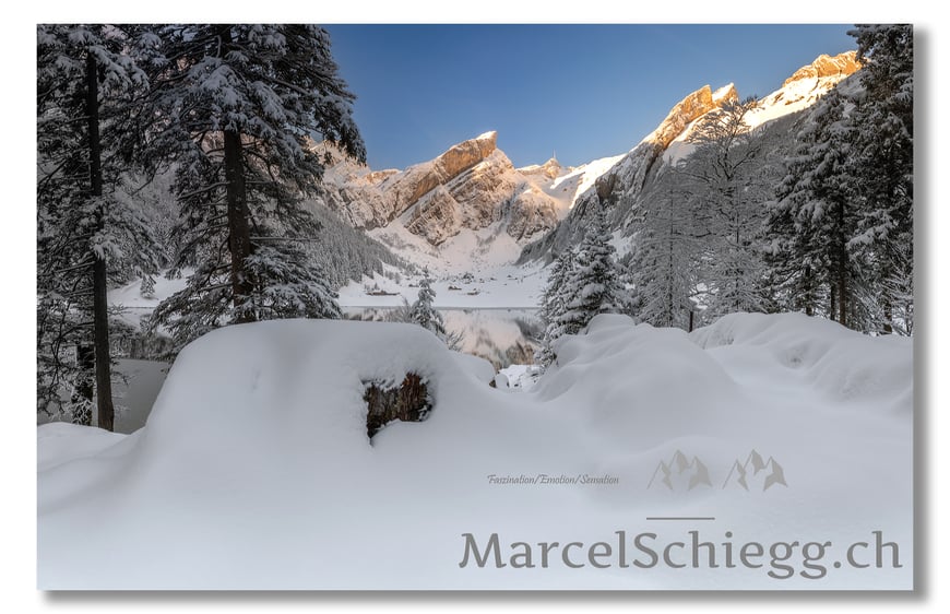 Seealpsee/Winter Art.-Nr. MS8-0566-Pan