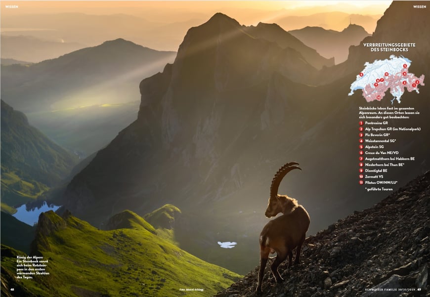 Bildlizenz für Zeitschrift (Schweizer Familie)