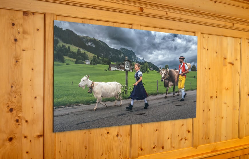 Schnäppchen, Wandbild, Marcel Schiegg, Shop, Steinbock, Tradition, Brauchtum, Alpstein, Appenzell, Appenzellerland, Fotografie