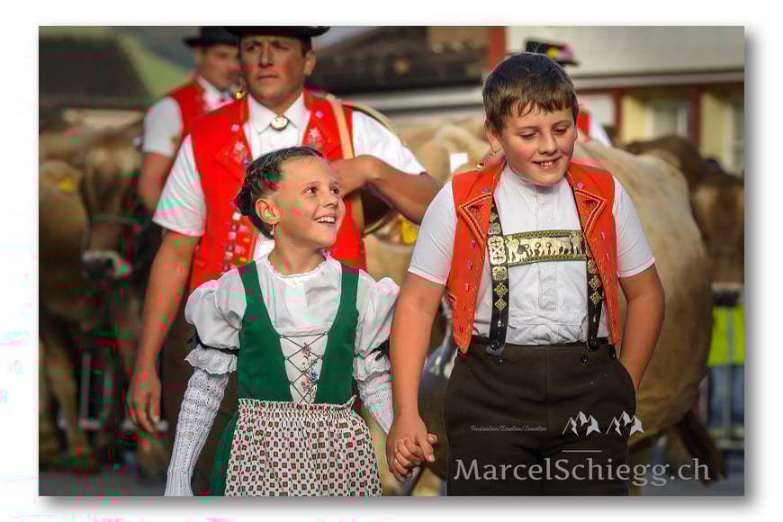 Marcel Schiegg, Marcel Schiegg Fotografie, Vechschau, Viehschau, Appenzell, Appenzellerland, Braunvieh, Kühe, Ziegen, Tracht, Trachten, Tradition, Brauchtum, Hornkühe, Senntumschellen