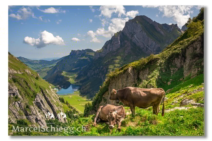 Seealpsee/Mesmer Art.-Nr. MZ7-0217