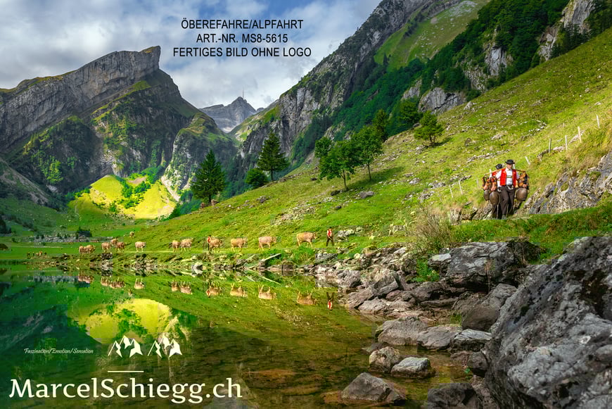 Marcel Schiegg, Fotografie, Brauchtum, Tradition, Alpfahrt, Öberefahre, Alpaufzug, Alpabzug, Seealpsee, Alpstein, Appenzell, Schweiz