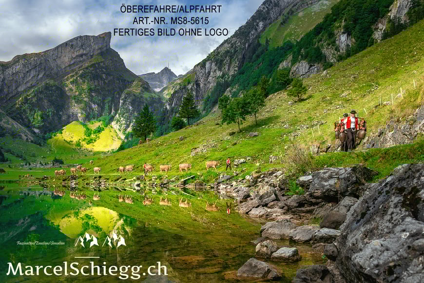 Marcel Schiegg Fotografie, Brauchtum, Tradition, Alpfahrt, Öberefahre, Alpaufzug, Alpabzug, Seealpsee, Alpstein, Appenzell