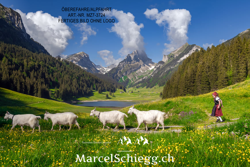 Marcel Schiegg, Fotografie, Brauchtum, Tradition, Alpfahrt, Öberefahre, Alpaufzug, Alpabzug, Sämtisersee, Alpstein, Appenzell, Schweiz