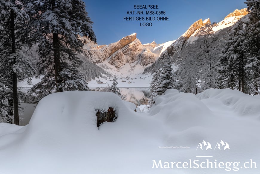 Marcel Schiegg, Marcel Schiegg Fotografie, Wandbild, Wandbilder, Wanddekoration, Leinwandbild, AluDibond, Seealpsee, Seealpsee im Winter, Alpstein, Alpsteinfotograf