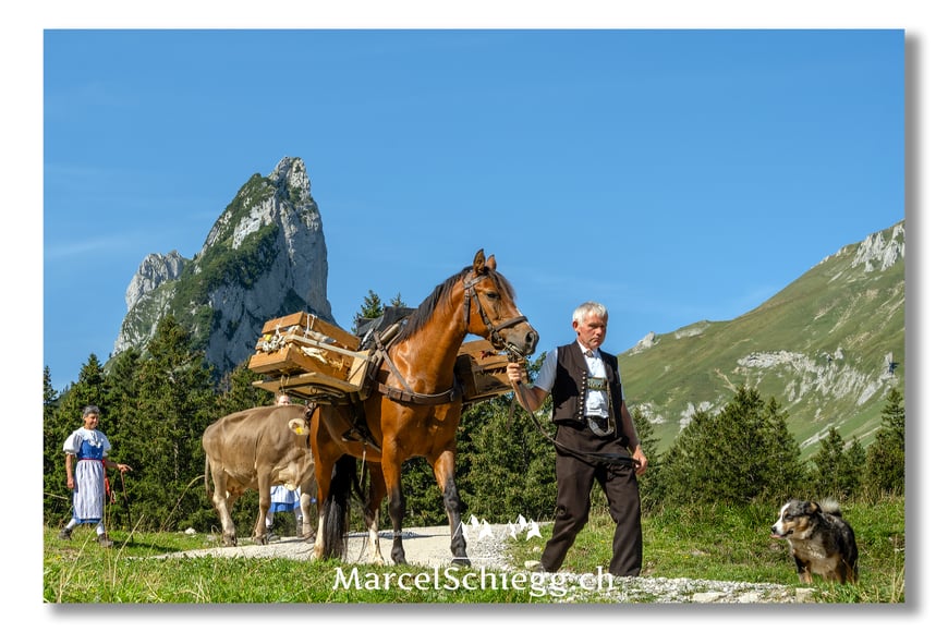 Marcel Schiegg, Brauchtum, Tradition, Öberefahre, Alpfahrt, Appenzell, Appenzellerland, Appenzeller Trackt, Appenzeller Ziege