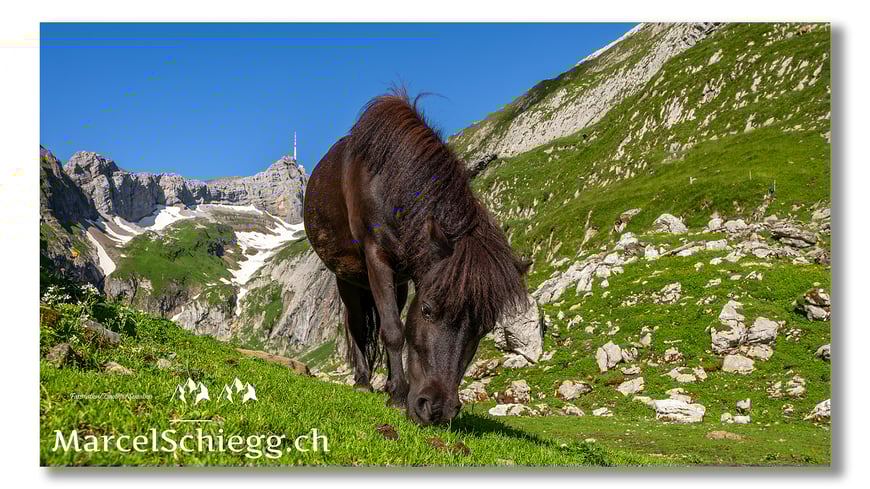 Berggasthaus Mesmer, Mesmer, Alpstein, Appenzell, Marcel Schiegg, Säntis