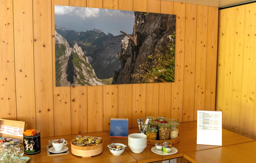 Schnäppchen, Wandbild, Marcel Schiegg, Shop, Steinbock, Tradition, Brauchtum, Alpstein, Appenzell, Appenzellerland, Fotografie