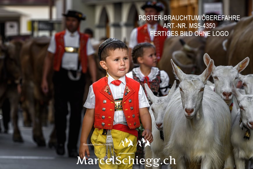 Poster, Brauchtum, Öberefahre, Appenzell, Appenzellerland, Tradition, Marcel Schiegg