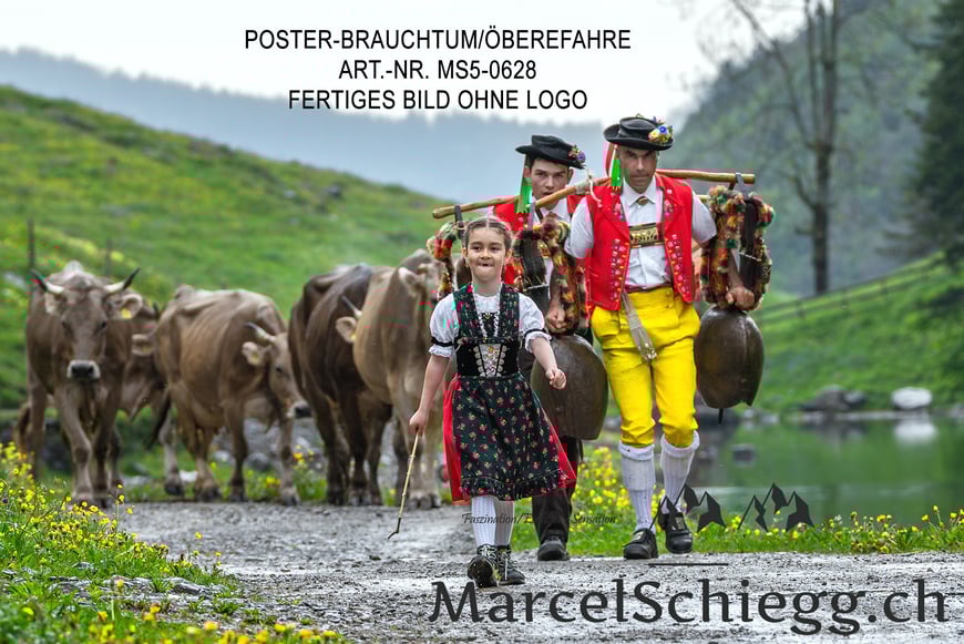 Poster, Brauchtum, Öberefahre, Appenzell, Appenzellerland, Tradition, Marcel Schiegg