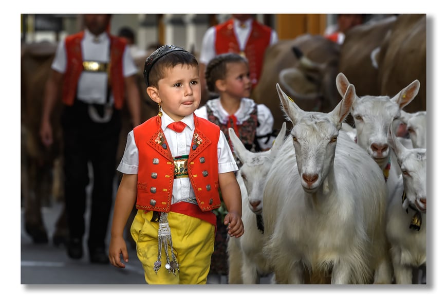 Marcel Schiegg, Brauchtum, Tradition, Öberefahre, Alpfahrt, Appenzell, Appenzellerland, Appenzeller Trackt, Appenzeller Ziege