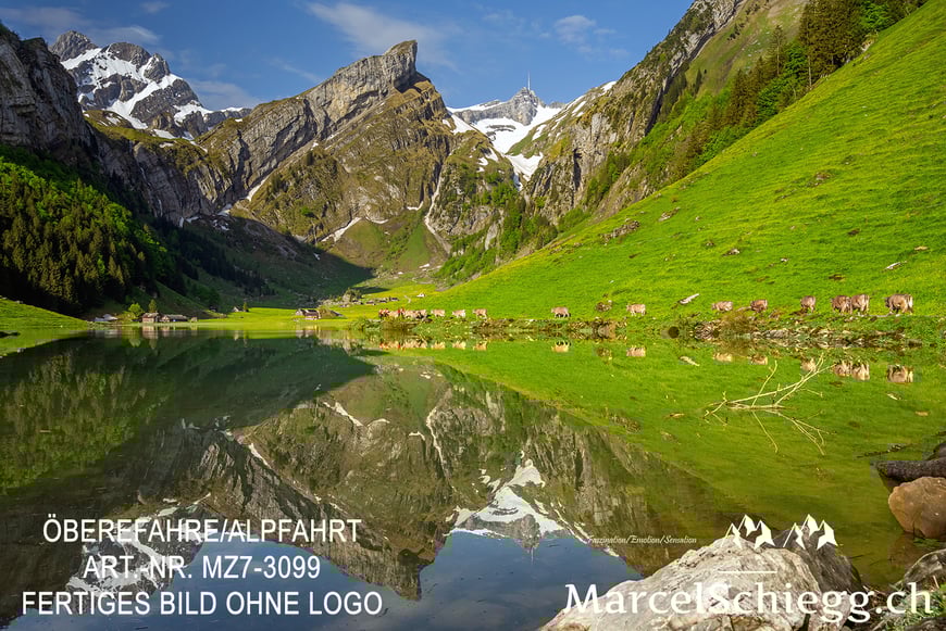 Marcel Schiegg-Fotografie, Brauchtum, Tradition, Alpfahrt, Öberefahre, Alpaufzug, Alpabzug, Seealpsee, Alpstein, Appenzell, Schweiz