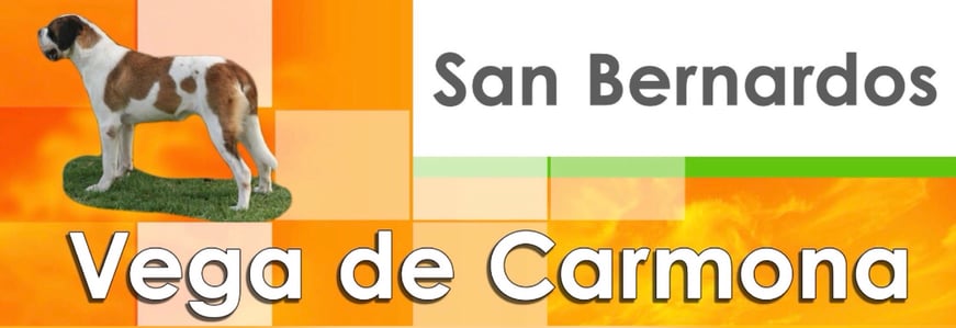 Página web de contratasalmebe