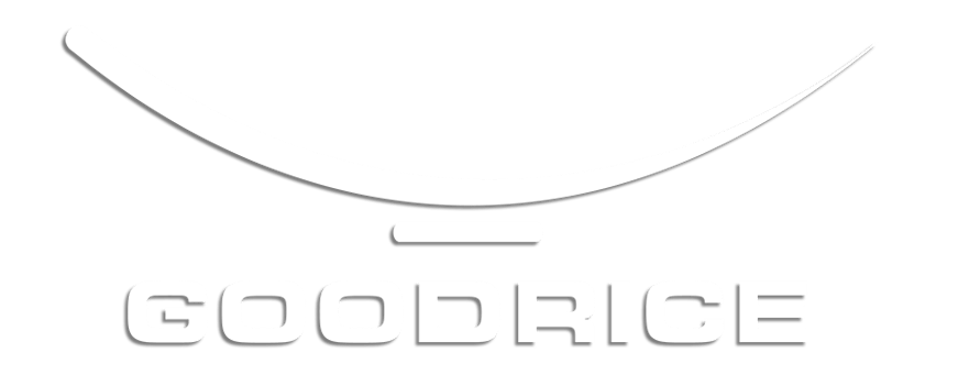 Good Rice zum Elefanten Restaurant in Konstanz