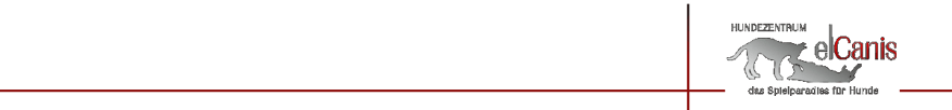 Herzlich Willkommen im Hundezentrum elCanis - das Spielparadies für Ihren Hund