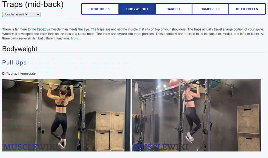 Muskel trainieren Übungen