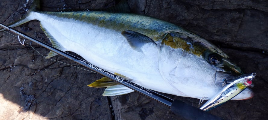 LALAPEN150F（ララペン150F） - JUMPRIZE 公式サイト