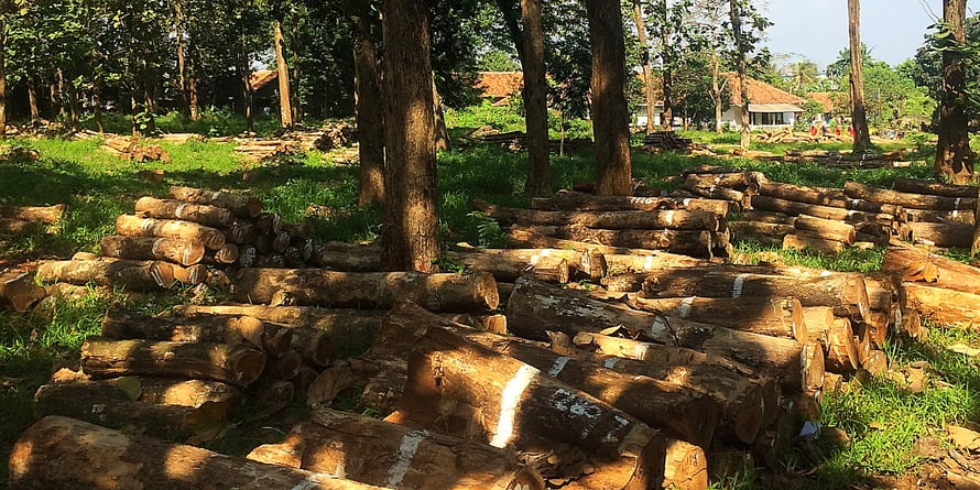 アンドウッド 無垢フローリング 新潟 調達記