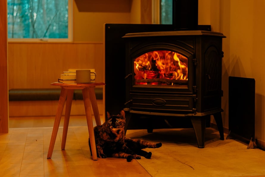 バーチ プライウッド フローリング 施工例 andwood アンドウッド  撮影 篠原 幸宏 7