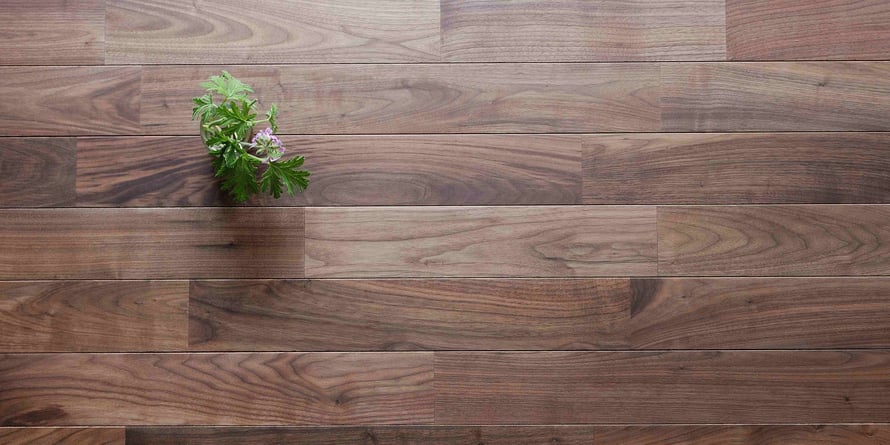 ブラックウォルナット ユニ 無垢フローリング アンドウッド 新潟