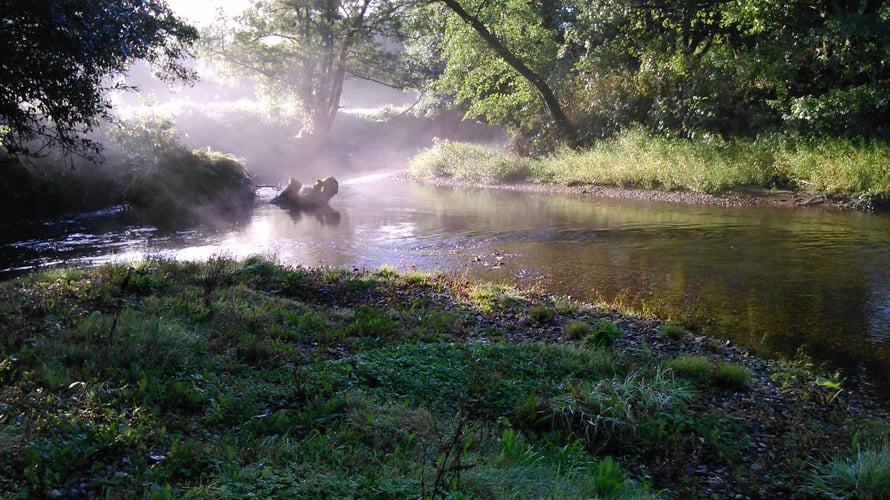 Early Morming Mist on River Camel, Cornwall, Photo By Dave Churcher