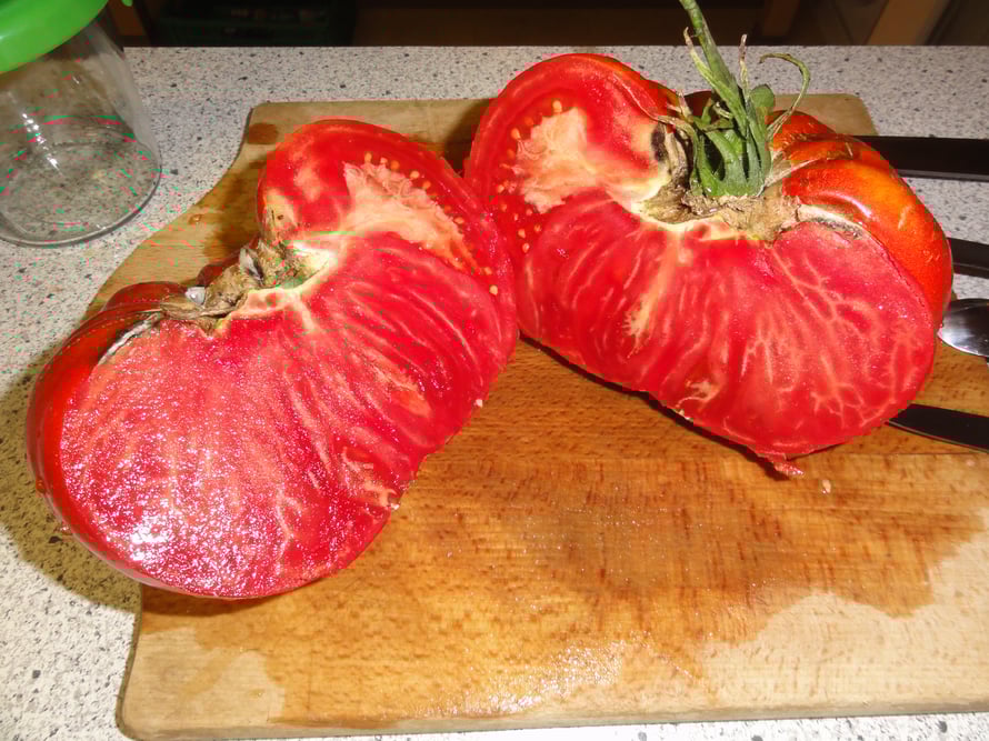 Tomaten Sorte Babuschka