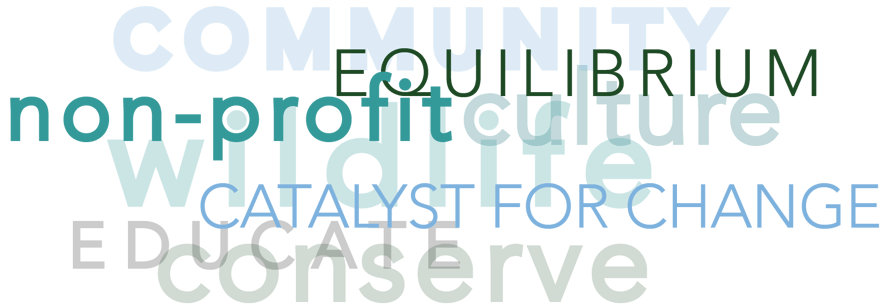 Jafuta Foundation - Community - Education - Culture - Conservation - Wildlife - Zimbabwe