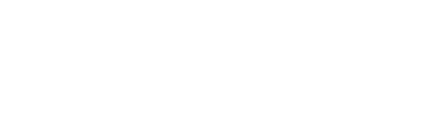 Führungswerk®