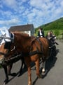 Kutschenfahrt 10. Mai 2013
