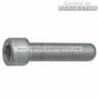 DIN7500A Tornillo cilíndrico trilobular
