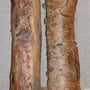 Which is the real log? "Double Take", chicken wire, paper mache, tissue, paint. 38cm x 9cm, 2007.