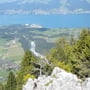 toller Ausblick auf den Thunersee vom Sunnighore
