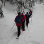 durch den schön verschneiten Wald steigen wir auf