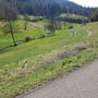 das Heigerachtal runter nach Gengenbach