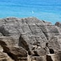 Pancake Rocks: Wunderbar geschichtete Gesteinsformationen an der Westküste der Südinsel
