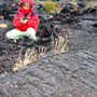 Beeindruckende Spaziergänge durch die erkalteten Lavaströme im „Crater of the Moon“ Nationalpark.