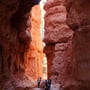 Wanderung durch die Sandsteintürme im Bryce Canyon